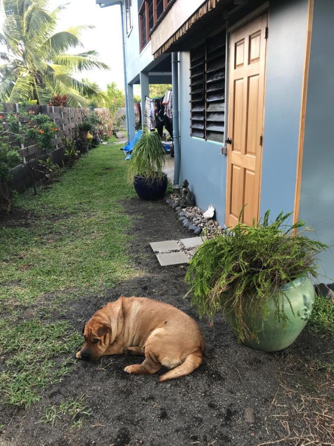 Pointe Venus Lodge Mahina Exterior photo